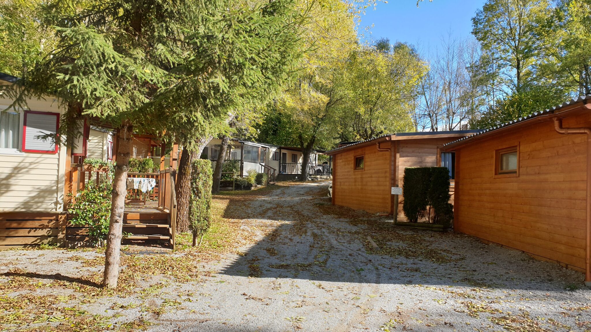 Camí del Càmping Els Roures a la tardor
